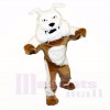 Greenstone Bouledogue Mascotte Les costumes Adulte