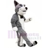 Mignonne Chien gris Costumes De Mascotte