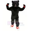 Haute École Noir Ours Mascotte Les costumes Adulte