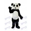 Panda en peluche Costume adulte de mascotte