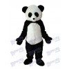 Costume de mascotte panda géant adulte
