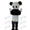 Costume de mascotte panda géant adulte