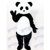 Costume de mascotte adulte Panda Animal Type F