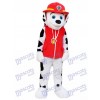 Paw Patrol Marshall chien dalmatien mascotte Costume Cartoon Anime
