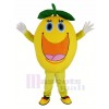 Mignonne Rond Orange Mascotte Costume