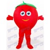 Costume de mascotte adulte de tomate