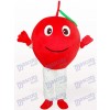 Pomme rouge avec le costume de mascotte adulte de fruit de feuille seule