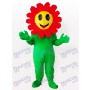 Fou rire Fleur du soleil Costume drôle de mascotte adulte plante