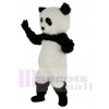 Panda costume de mascotte