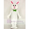 Marrant Pâques lapin Mascotte Costume École