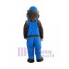 Gopher costume de mascotte