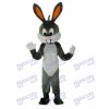 Costume adulte de mascotte Bunny bugs de Pâques Animal