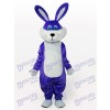 Costume de mascotte adulte lapin de lapin de Pâques pourpre