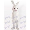 Costume de mascotte d'animal adulte de lapin rose de lapin de rose