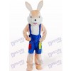 Costume de mascotte de lapin lapin rose de Pâques