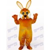 Costume de mascotte animaux lapin brun de Pâques