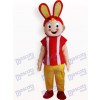 Costume de mascotte adulte de lapin de Pâques
