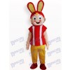 Costume de mascotte adulte de lapin de Pâques