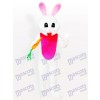 Costume de mascotte de lapin de carotte lapin de Pâques adulte