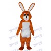 Pâques Beau Lapin Brun Costume Mascotte Adulte Animal