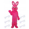 Costume adulte de mascotte de lapin rose de Pâques de Pâques Animal