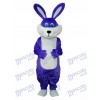 Costume adulte de mascotte de lapin pourpre de Pâques Animal