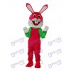 Etiquette de Pâques Lapin mascotte Costume adulte Animal