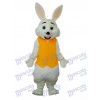 Gilet jaune de Pâques Mascotte de lapin Costume adulte Animal