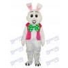 Costume adulte de mascotte de lapin rose de Pâques Pâques Animal