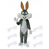 Pâques New Bugs Bunny mascotte Costume adulte Animal
