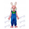 Costume adulte Mascotte de lapin de Pâques Robbie Animal