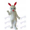 Mascotte de lapin de Pâques Costume adulte Animal