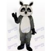 Costume de mascotte adulte de raton laveur