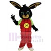 Lapin de Pâques Rabbit costume de mascotte