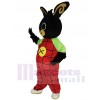 Lapin de Pâques Rabbit costume de mascotte