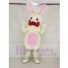 Rayman Délirant lapin avec Bleu Yeux Mascotte Costume Dessin animé