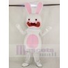 Marrant Rayman Délirant lapin Mascotte Costume Dessin animé