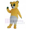 Ours costume de mascotte