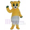 Ours costume de mascotte