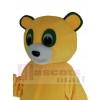 Ours costume de mascotte