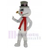 Bonhomme de neige costume de mascotte