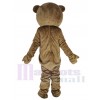 Ours en peluche costume de mascotte