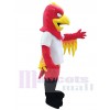 Aigle costume de mascotte