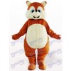 Costume de mascotte adulte animal écureuil