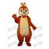 Tamia Mascotte Adulte Costume Animal