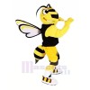 Cool sport abeille Mascotte Les costumes Dessin animé