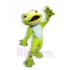École Mignonne Grenouille Mascotte Les costumes Dessin animé