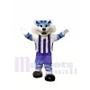 Collège bleu tigre Costumes De Mascotte