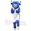 Université Blue Bull Costumes De Mascotte