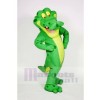 Souriant Alligator Mascotte Les costumes Adulte